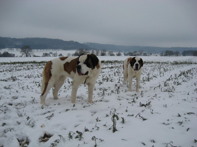 Xionara & Oxana 06.12.10