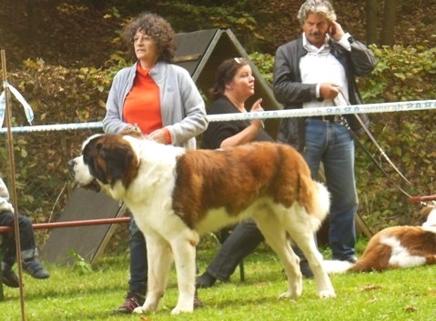 Jayant vom Haselrecht