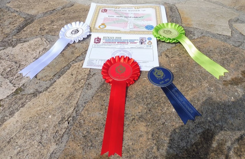 Expo Lou Vom Haselrecht Bilbao