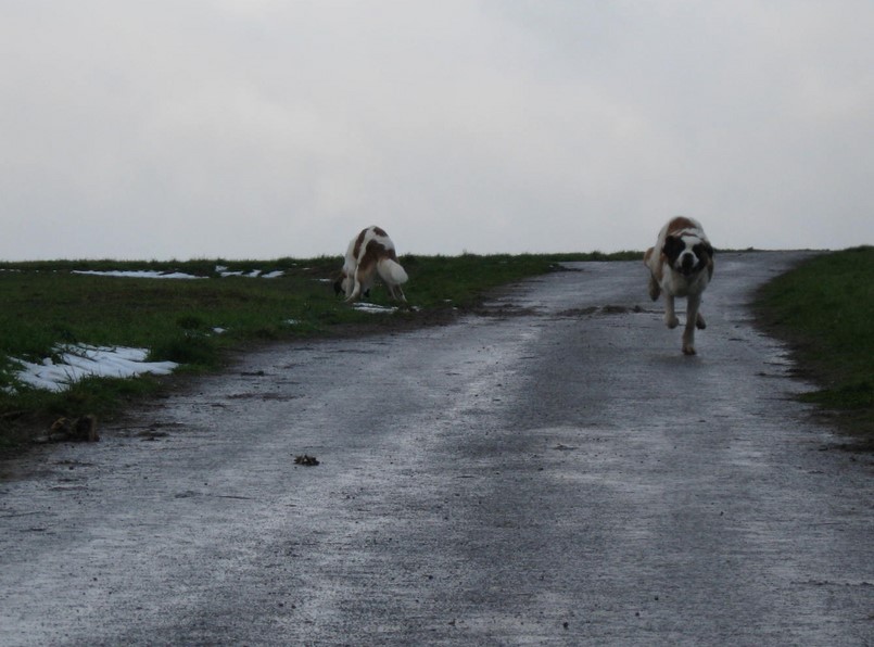 12.12.10 Xionara , Oxana