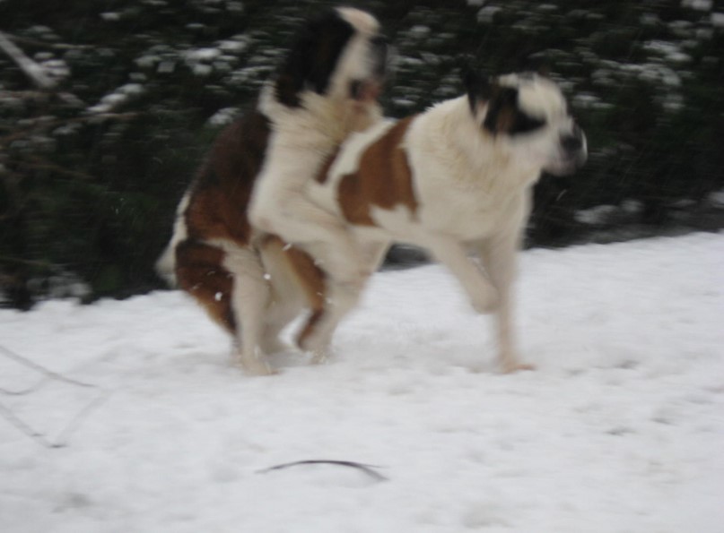 Dante, Xionara 07.12.10