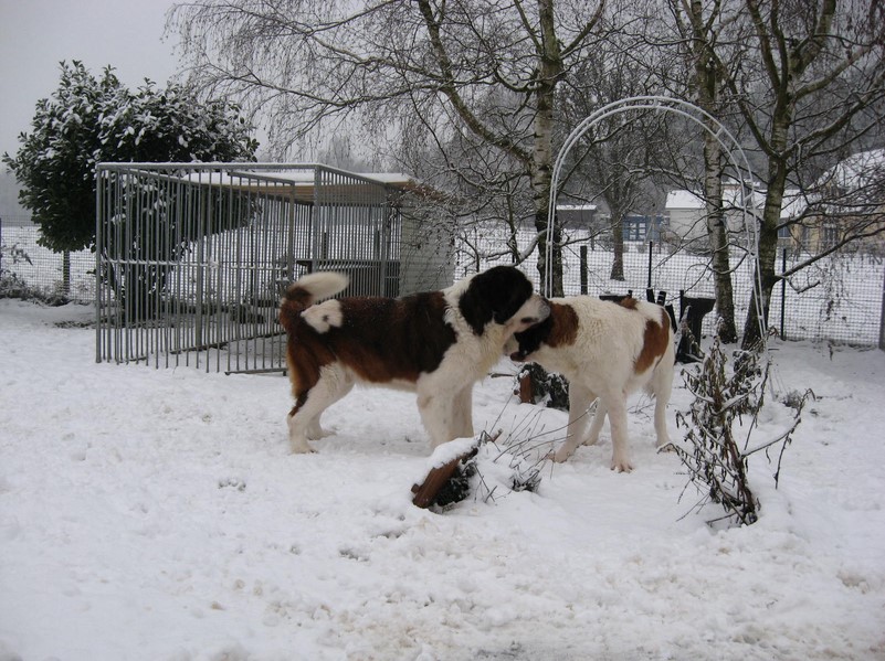 Dante, Xionara 07.12.10