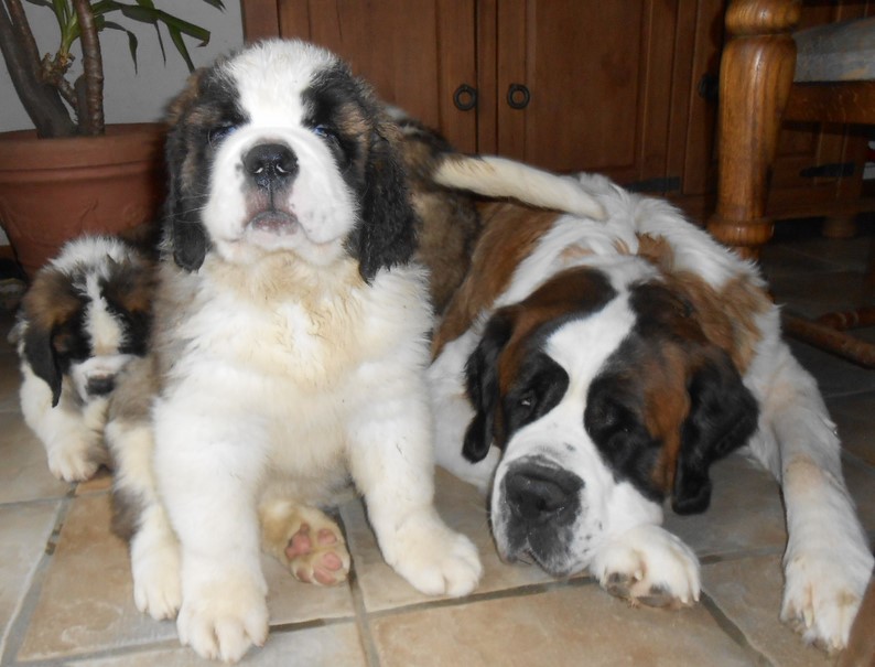 Lasco, Lou & Mama Sina