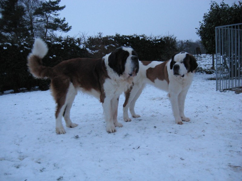 Gizmo, Xionara 04.12.10