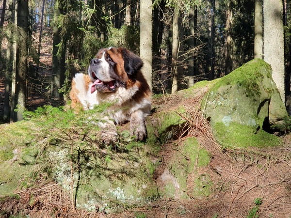 Ouragan vom Haselrecht