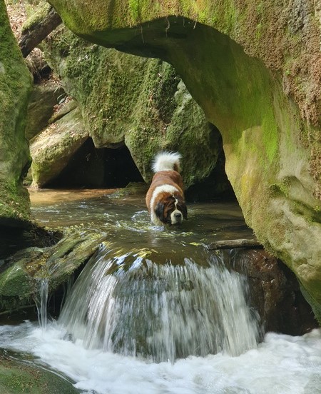 Ouragan vom Haselrecht