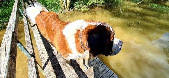 Ouragan vom Haselrecht