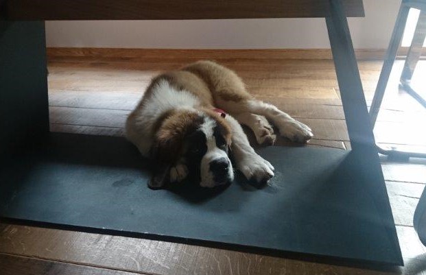 Ouragan vom Haselrecht