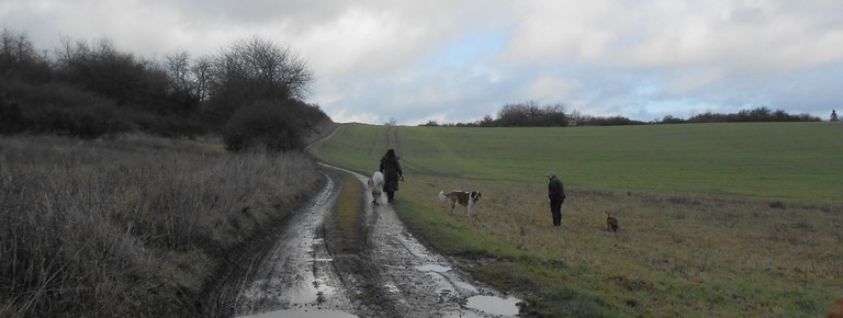05/01/14 Spaziergang im Rheinland-Pfalz