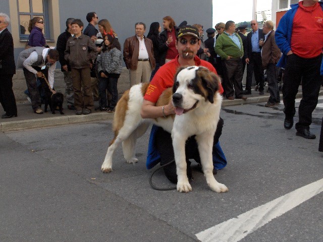 Weinfest zu Grevenmacher