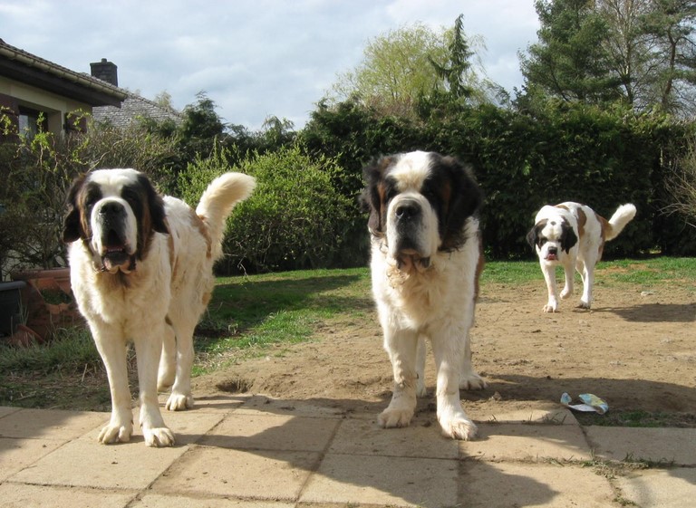 Oxana, Dante, Xionara