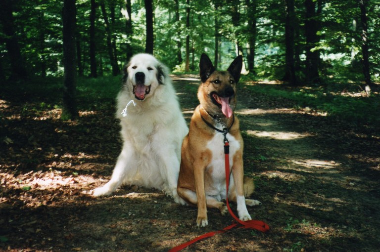 Lobo & Leïka