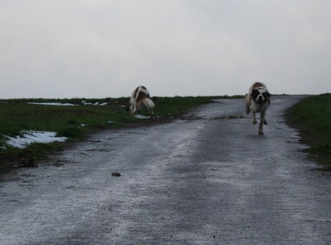 12.12.10 Xionara , Oxana