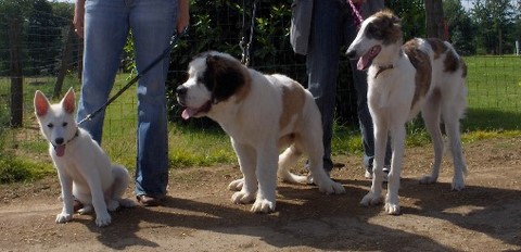 Xionara Vaya v.`t Beukeböschke mit Freuden