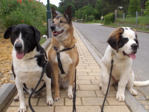 Samson, Leïka, Xionara