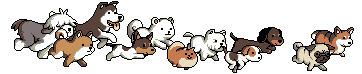 Gif chiens