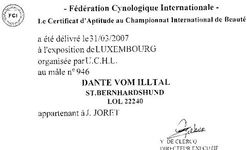Certificat Champion Dante