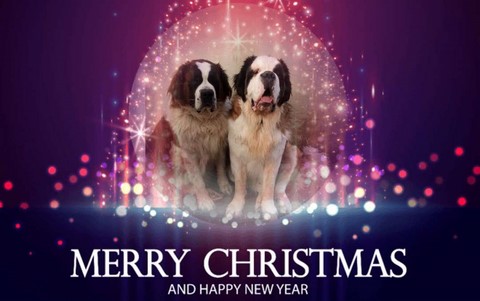 22.12.2023   Océane mit Angelo 