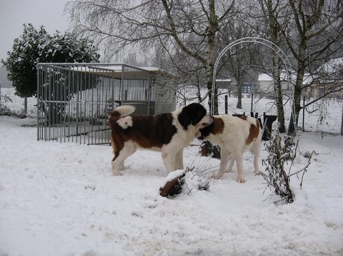 Dante, Xionara 07.12.10