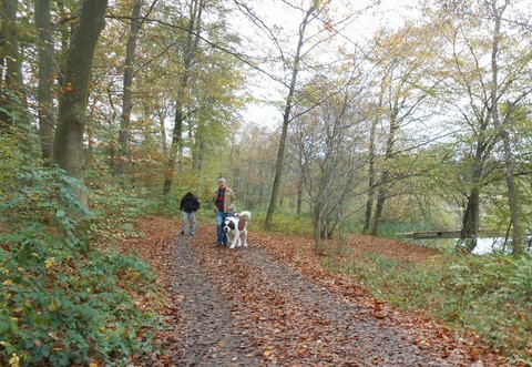 01/11/13 Wandertag in Mosel
