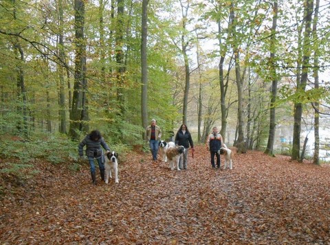 01/11/13 Wandertag in Mosel