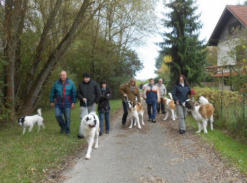 01/11/13 Wandertag in Mosel