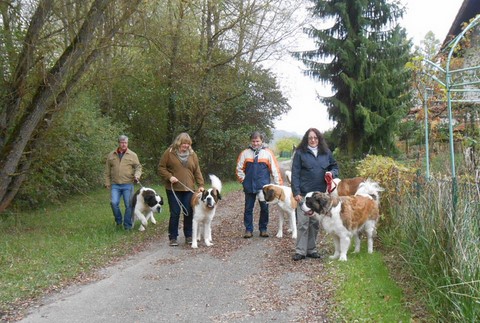 01/11/13 Wandertag in Mosel