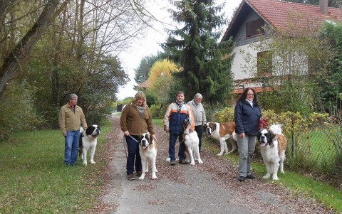 01/11/13 Wandertag in Mosel