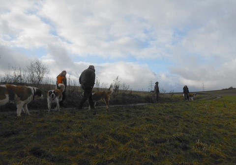 05/01/14 Spaziergang im Rheinland-Pfalz