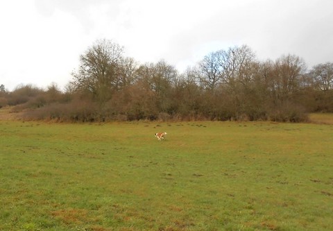 05/01/14 Spaziergang im Rheinland-Pfalz