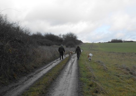 05/01/14 Spaziergang im Rheinland-Pfalz