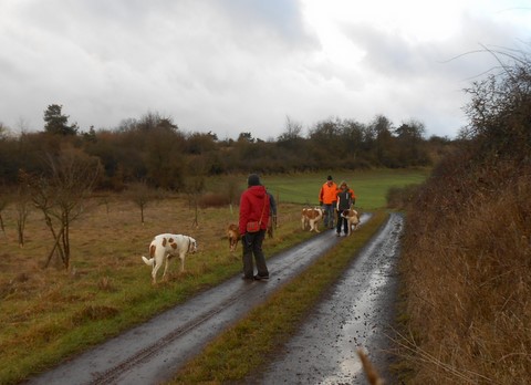 05/01/14 Spaziergang im Rheinland-Pfalz