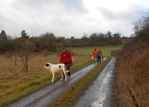05/01/14 Spaziergang im Rheinland-Pfalz