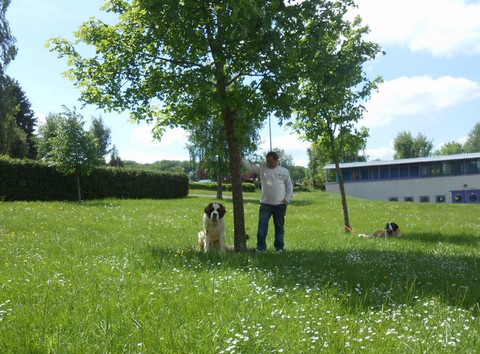 17.05.15 Spaziergang in Mosel