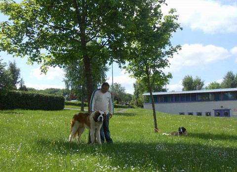 17.05.15 Spaziergang in Mosel