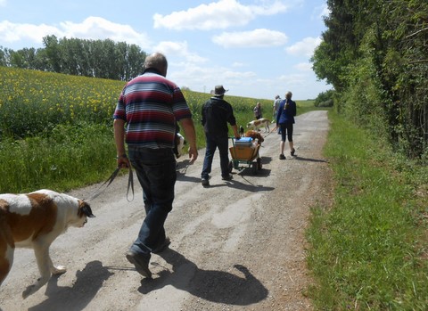 17.05.15 Spaziergang in Mosel