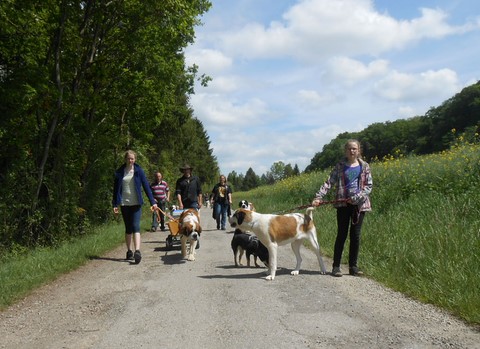 17.05.15 Spaziergang in Mosel