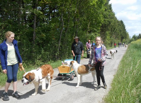 17.05.15 Spaziergang in Mosel