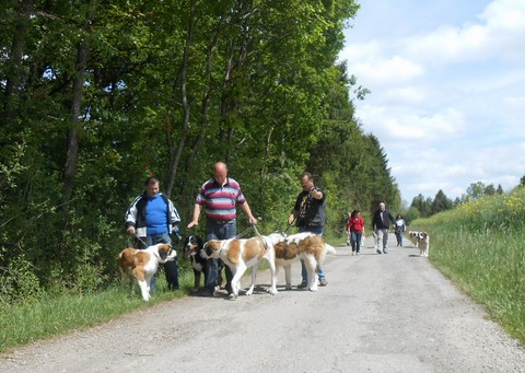 17.05.15 Spaziergang in Mosel