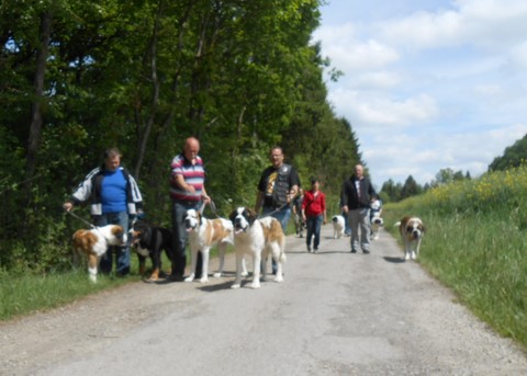 17.05.15 Spaziergang in Mosel