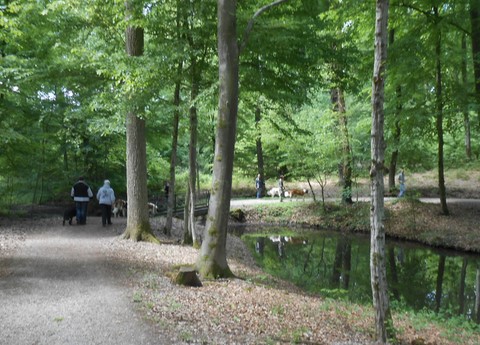 17.05.15 Spaziergang in Mosel