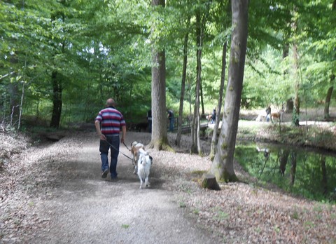 17.05.15 Spaziergang in Mosel
