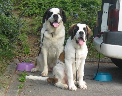 Weinfest Grévenmacher 2010 Xionara & Oxana