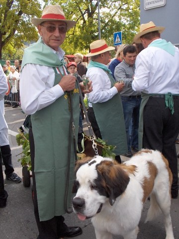 Weinfest zu Grevenmacher