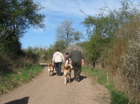 06.04.14 Spaziergang mit Bernhardinerklub
