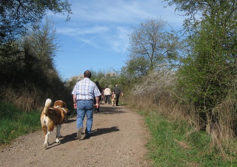 06.04.14 Spaziergang mit Bernhardinerklub