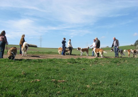 06.04.14 Spaziergang mit Bernhardinerklub