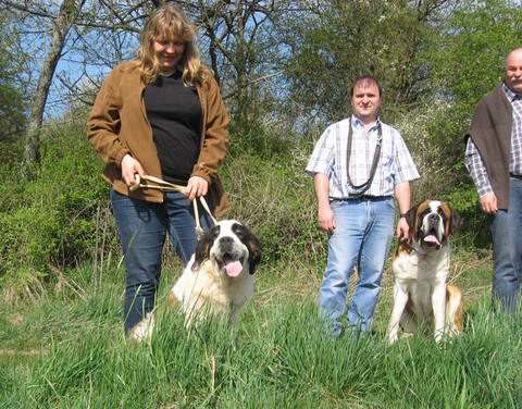06.04.14 Spaziergang mit Bernhardinerklub