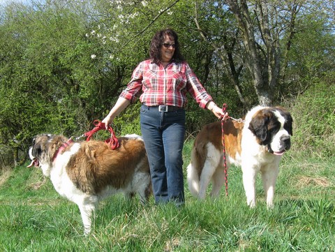 06.04.14 Spaziergang mit Bernhardinerklub