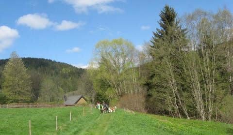 04/05/14 Bernhardinertreffen zu Titisee